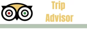 trip-advisor